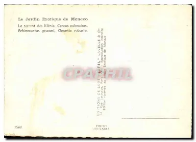 Jardim Exótico de Mônaco — Cactos e suculentas — Edições Lavelle & Cie — Verso