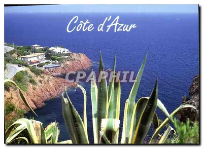 Côte d'Azur — widok wybrzeża z agawami — Les Éditions de Sainte-Maxime