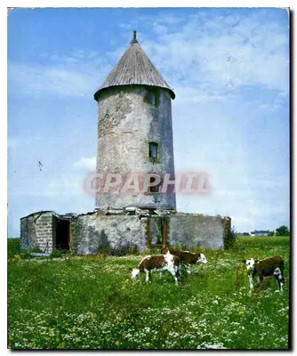 Um Velho Moinho — Vendée Pittoresque — Grillaudites, Sinazaire
