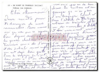 Chênes les Jumeaux — Las Troncais (Allier) — Wydawnictwo Nivernais — Rewers