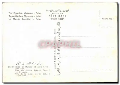 Cabeça de múmia do rei Sethi I — 18ª dinastia — Lehnert & Landrock, n°297 — Verso