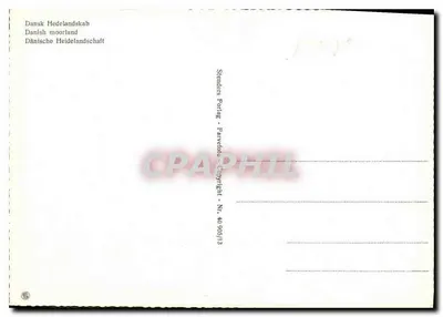 Moorschaft — Danemark — Stenders Portage - Farvfoto - Copyright - Nr. 40 905/13 — Rewers