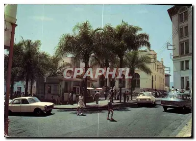 Place de Béjaïa — vista urbana com palmeiras e carros — editor P. 11