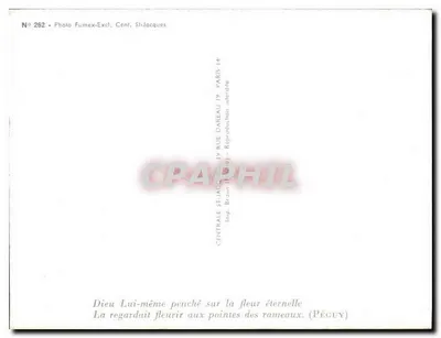 Montanha nevada — vista primaveril com galhos floridos — Foto Fumex-Excl. Cent. St-Jacques, n° 262 — Verso