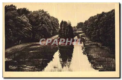 एटैंग-डू-पिट्स (शेर) - ला रिज़र्व दाएं से देखा गया - प्रकाशक: हेलियो लंबियर-मैकू