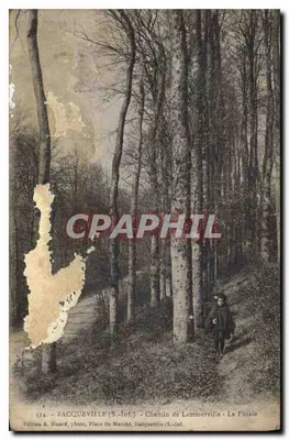 Bacqueville (S.-Inf.) - Caminho de Lammerville - A Futaie — Edição A. Huard, Place du Marché, Bacqueville (S.-Inf.)