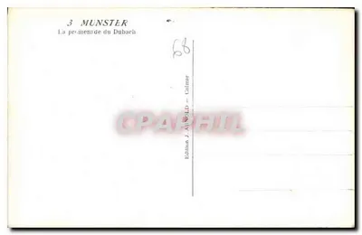 Widok promenady Dubach — Munster — Wydawnictwo J. AINSWOLD, Colmar — Rewers