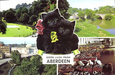 Aberdeen — dois gatos pretos com laços — editor Colourmaster International, série ABE 123