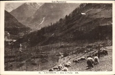 Cauterets — Dans la Vallée — BR. — Les Pyrénées