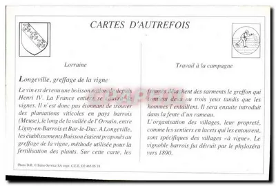 O Enxerto da Videira — Estabelecimento de Viticultura e Horticulura BUISSON, LONGEVILLE (Meuse) — Verso