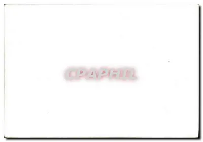 Grupo de personas a la mesa — jardín — Reverso