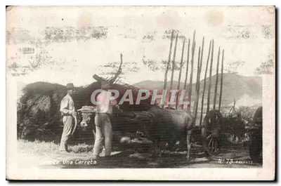 Tenerife. Una Carreta — Éditeur: M. 73. Mearphes