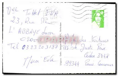 Białe anemonki — kartka gratulacyjna — Wyd. Gebr. Spanjerds & N.V., Rotterdam — Rewers