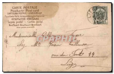 Fiolety w czerwonym naczyniu — kartka pocztowa datowana 25 listopada 1903 — wydawca nie widoczny — Rewers