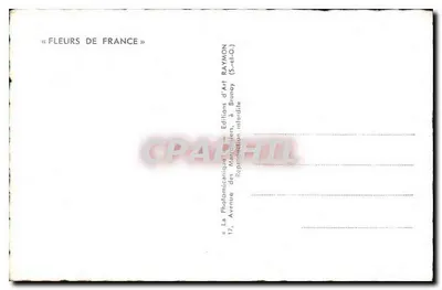 Les Roses — Edities van Kunst Raymon, Brunoy — Achterkant