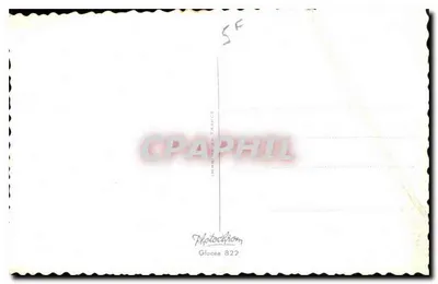 Mazzo di peonie in una caraffa in metallo — editore Photoclichom, n° 829 — Verso