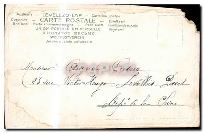 Rose et pensées — illustration imprimée — éditeur Union Postale Universelle, n° de série non visible — Verso