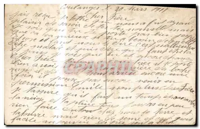 Violets — bouquet dans un panier en bois — éditeur Mondial 96 — Verso
