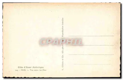 Nice — Widok między sosnami — Gilletta et Cie, nr 104 — Rewers