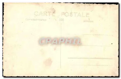 Ślub — grupa czterech osób — anonimowa karta pocztowa — Rewers