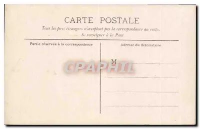 Grupo de mulheres — jardim com palmeiras — cartão postal anônimo — Verso