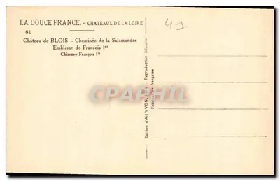 Castelo de Blois — Lareira da Salamandra — Emblema de Francisco I — Verso