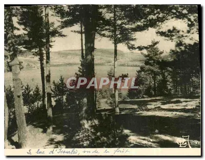 Lago de Issarlès, visto da floresta — Edição G.-L. Arlaud - Lyon, n° 67