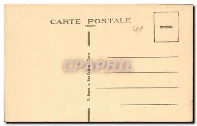 Blois (L.-et-Ch.) — Il Castello - Ala di Luigi XII - Il Porcospino dell'Ingresso. A.P. — Verso