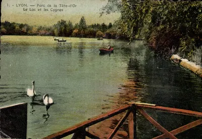 LYON — Parque da Tête-d'Or — O Lago e os Cisnes — Edição La Cigogne, n°3