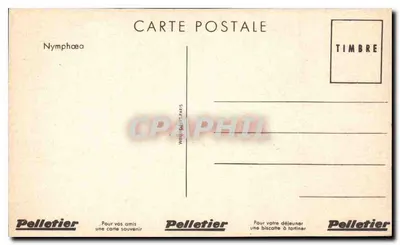 Ninféia — editor Pelletier, Paris — número de série não visível — Verso