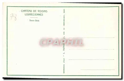 Gęsta las — widok z pochylonego terenu — L. Patras, n°78 — Rewers