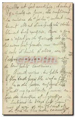 Bourges — Absydę katedry — Wydawca E M B, nr 206 — Rewers