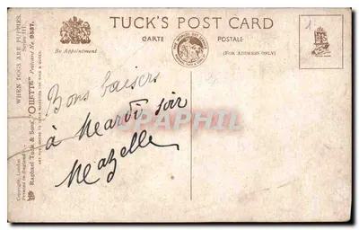 Trois chiots dans un jardin — scène de jardinage — éditeur Tuck's Post Card, série III, n° 9537 — Verso