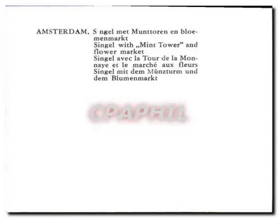 Amsterdam, Singel z Wieżą Monetarną i rynkiem kwiatów — Rewers