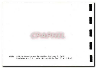Spadziste Niagary — Wirujące Przepaście i Gigantyczna Fala z Promenady — Produkcja kolorowa A Mike Roberts, Berkeley 2, Kalifornia — Rewers