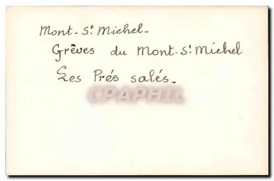Mont-Saint-Michel — Grèves i Prés salés — wydawca nieznany, nr 24 — Rewers