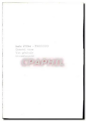 Procchio - Panorama — widok z lotu ptaka wybrzeża i wzgórz — wydawca — Rewers
