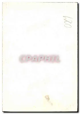 Homem no inverno — sob árvores de bétulas — n° 620 — Verso
