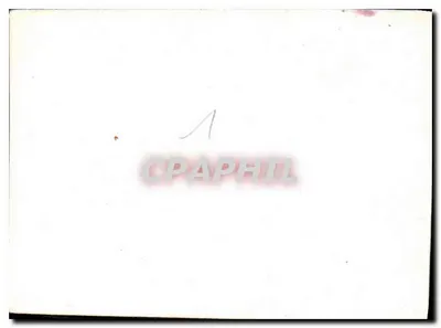 Família no jardim — n° de série 1 — Verso