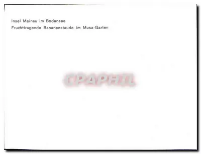 Palmiarnia — Insel Mainau im Bodensee — Rewers