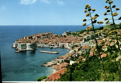 Dubrovnik — Panorama — DUBROVNIK - Panorama