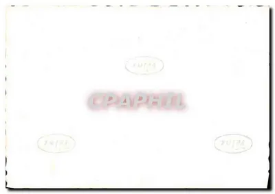 Grupa duchownych — fotografia w czarno-białym — nr 10124 — Rewers