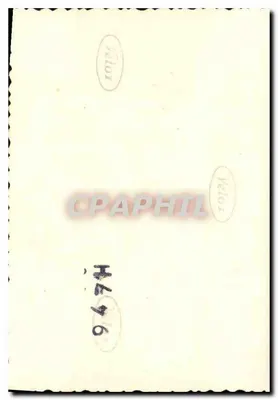 Bosboom in bloei voor een kerk — Vélor — n° 94746 — Achterkant