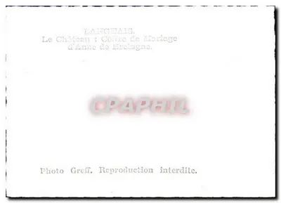 Zamek : Sala Ślubu Anny z Bretanii — Langhaïs — Rewers