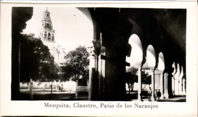 Mesquita. Claustro. Pátio dos Laranjais — Sevilha