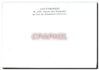 Hond op de Tourmaletpas — Pyreneeën — Uitgever: J. Théry, nr. serie K.219 — Achterkant