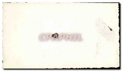 Cinco jovens mulheres — jardim tropical — carta postal antiga — Verso