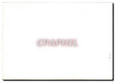 Picnik na świeżym powietrzu — grupa osób na trawie — n°240 — Rewers