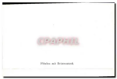 Flüelen com o Bristenstock — visão do lago e das montanhas — Verso