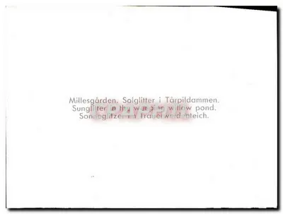 Millesgården — Brilho do sol no lago Tärpildammen — texto multilingue — Verso